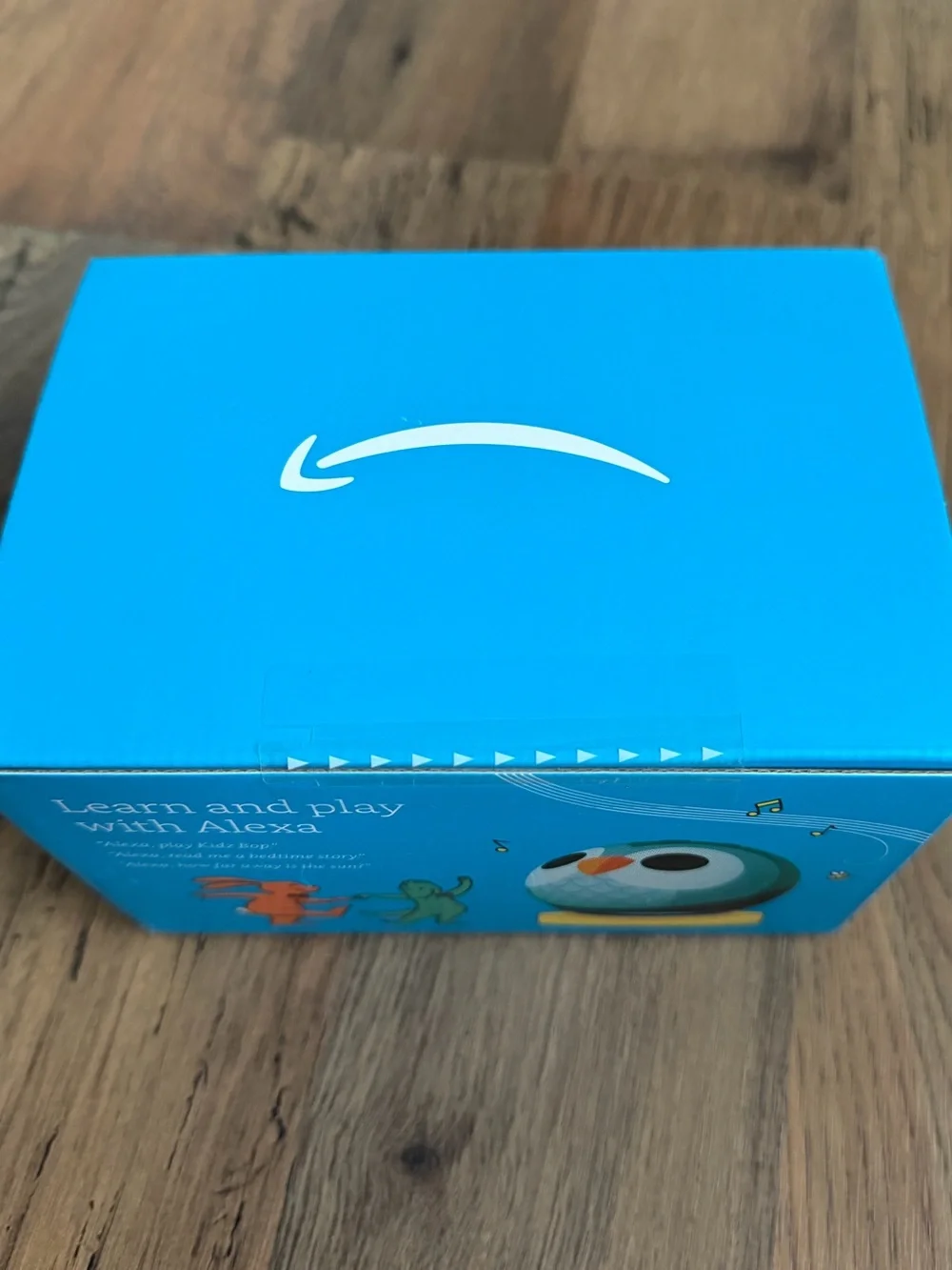 NWT (unopened) Kids Owl Alexa